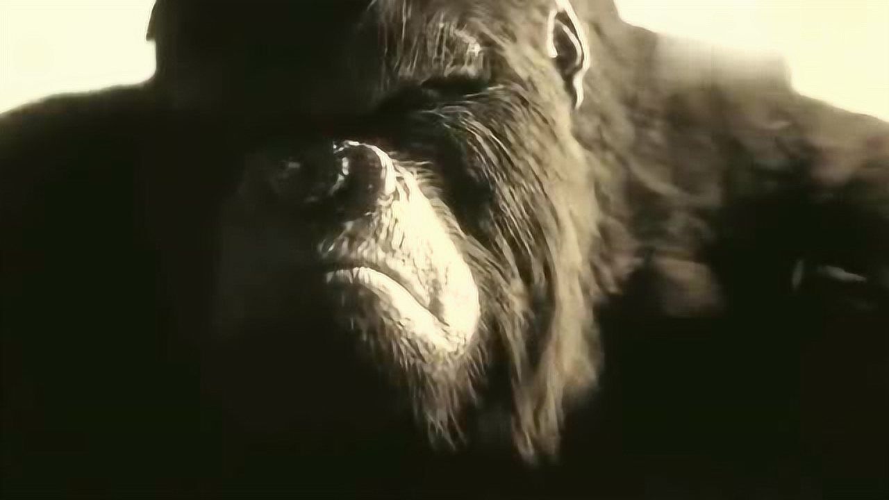 小海豚_dolphin01:35闪电侠和沃利比速度,萨维塔再次出现!南希