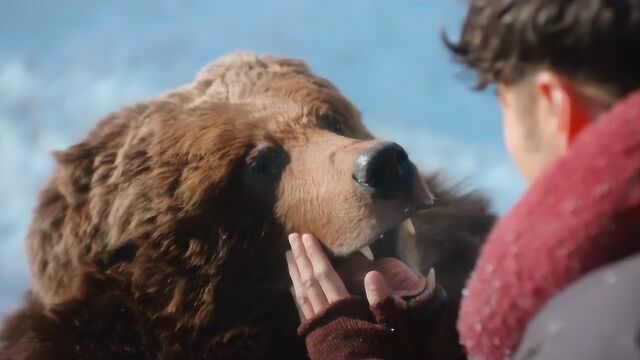 鬼吹灯黄皮子坟这熊明明是人扮的胡八一竟看不出来