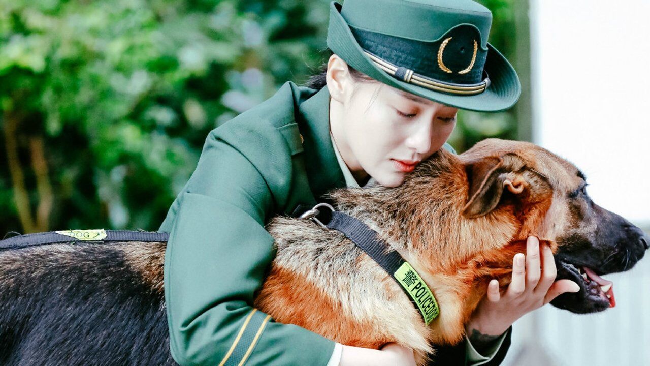 奇兵神犬张馨予特辑10下协作缉凶退伍交犬