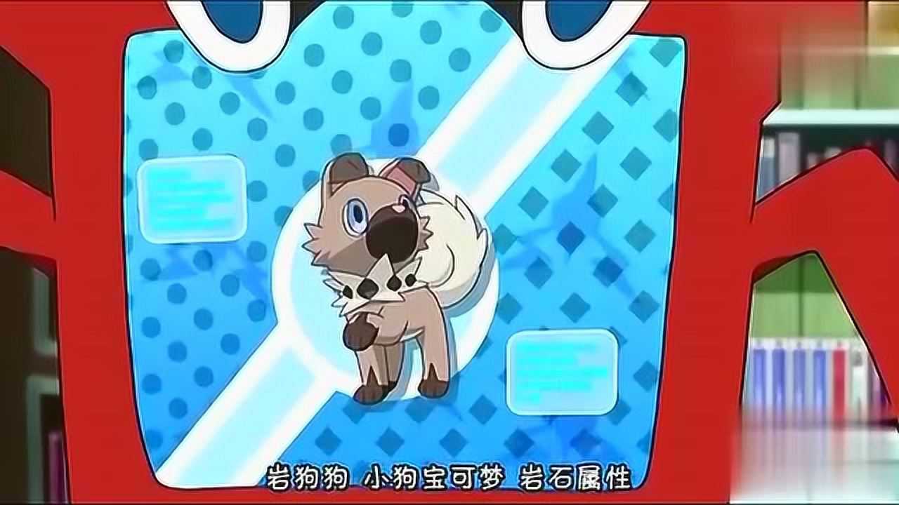 小智的岩狗狗能进化成黄昏形态,难怪很稀有呢!