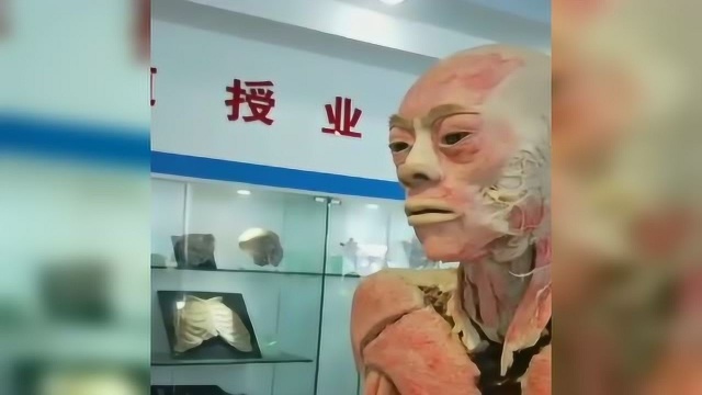 泡了福尔马林的人体标本是这样的,好恐怖啊!_腾讯视频