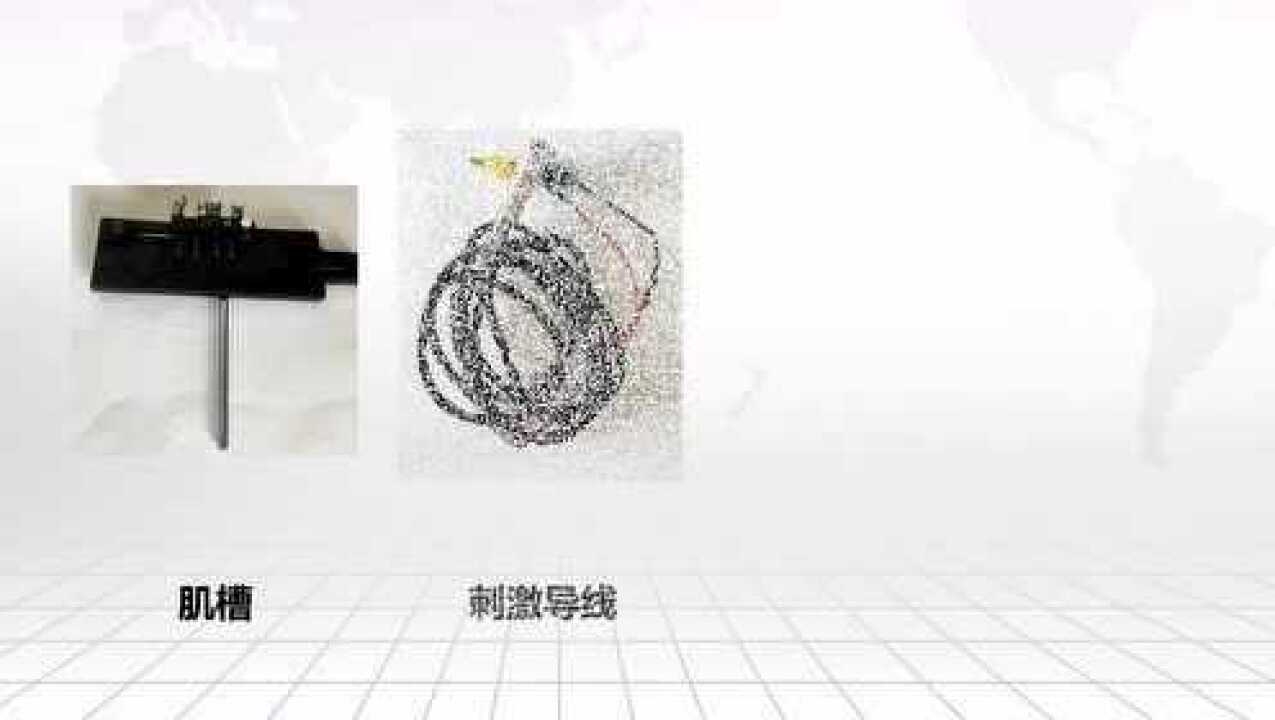 医学生理学实验spoc7-刺激强度与反应的关系_腾讯视频