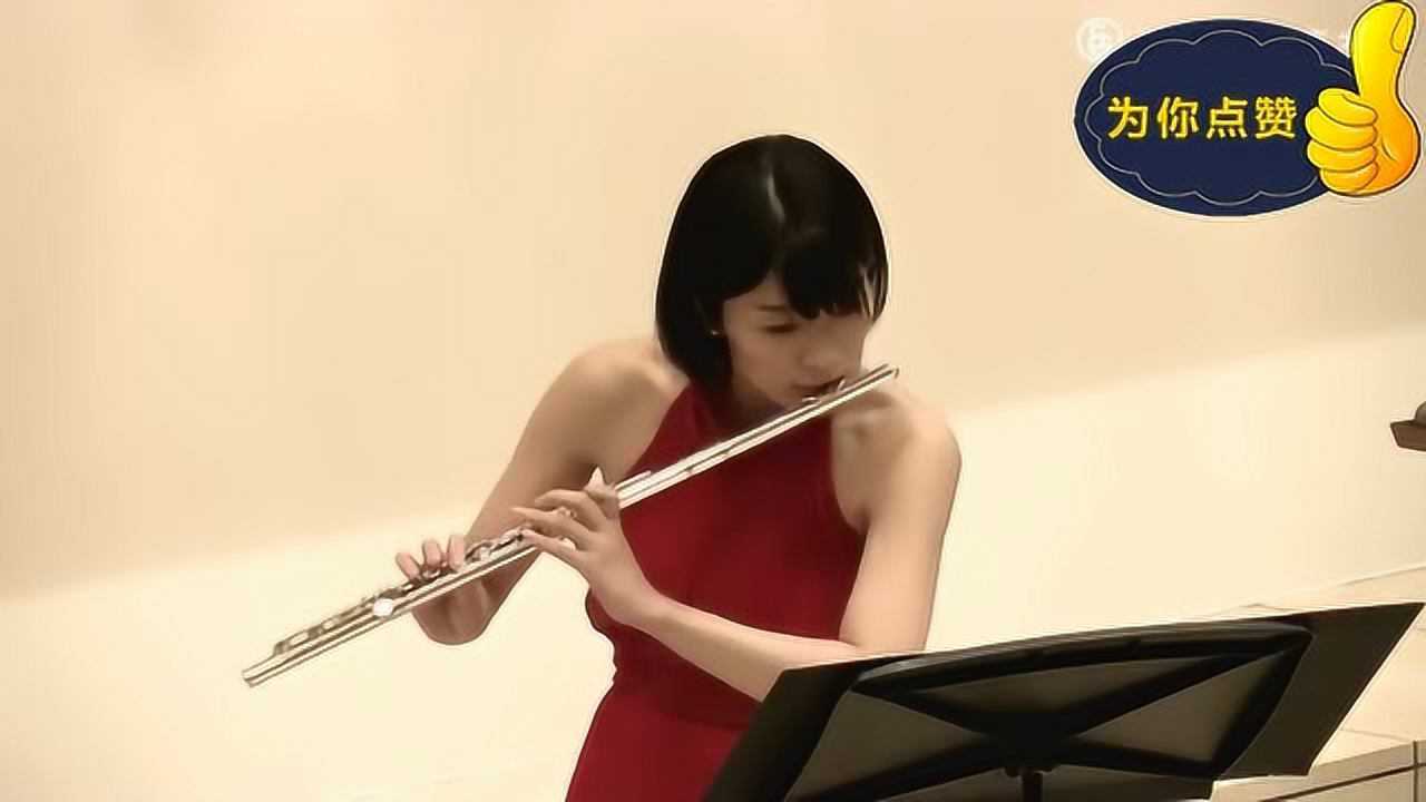 莫扎特歌剧魔笛著名片段《夜后咏叹调》,长笛与吉他_高清1080P在线观看平台_腾讯视频