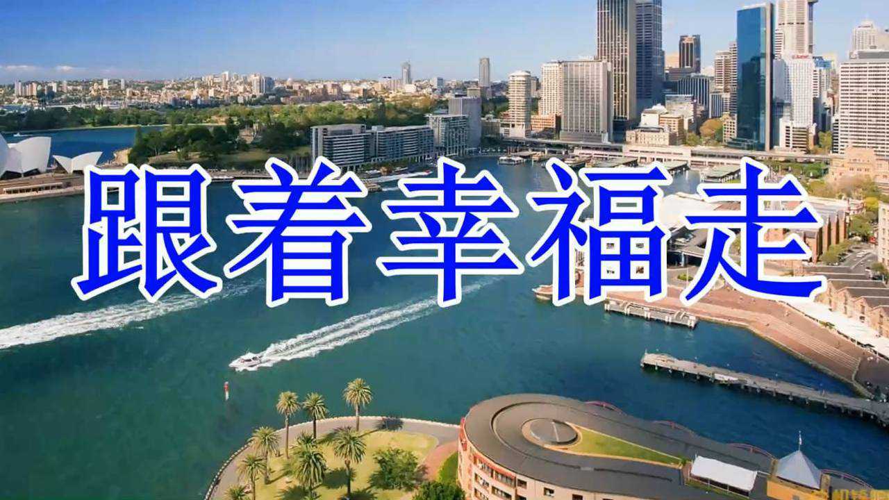 dj版 - 跟着幸福走 - 张振宇