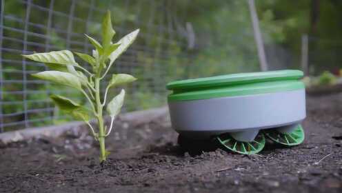 有这园丁机器人，自动除草全天候工作，帮你打理花园任劳任怨