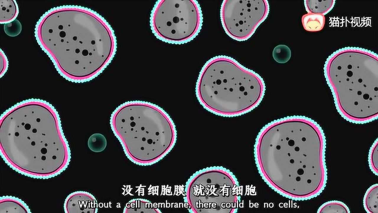 细胞膜结构与功能_高清