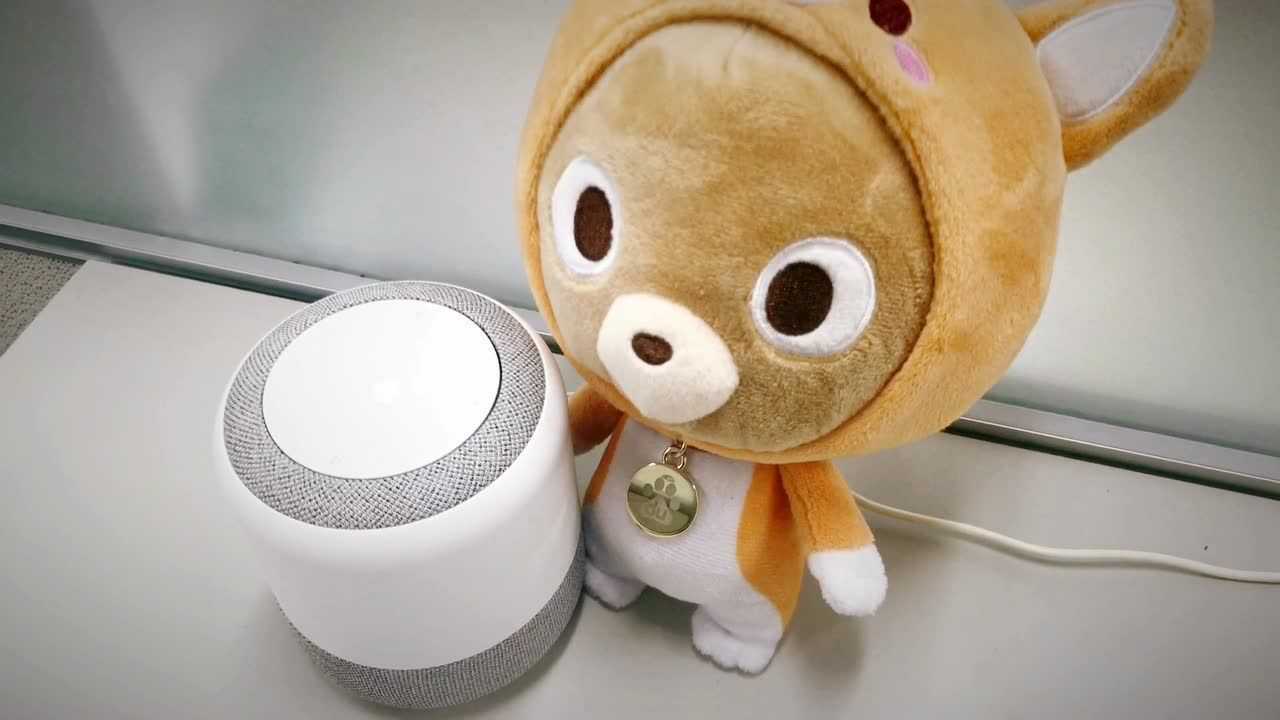 小度小度,我是谁呀