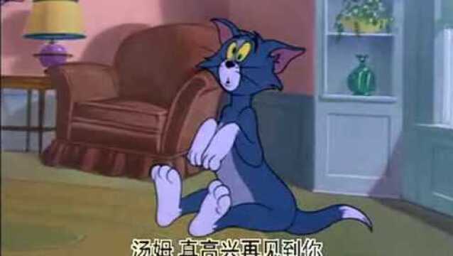 猫和老鼠之机器猫