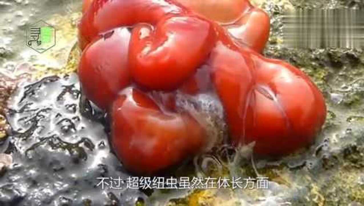 腾讯视频-中国领先的在线视频媒体平台,海量高清视频在线观看