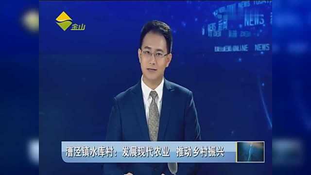 漕泾镇水库村:发展现代农业 推动乡村振兴