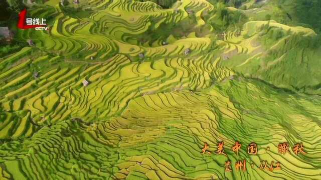 大美中国 瞰秋 贵州从江