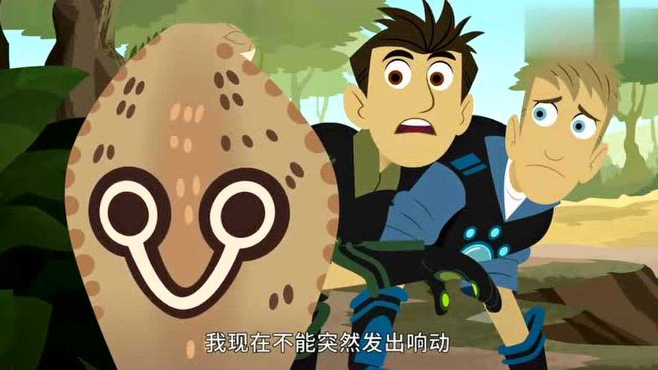 动物兄弟和眼镜蛇比赛"瞪眼睛",真有趣!