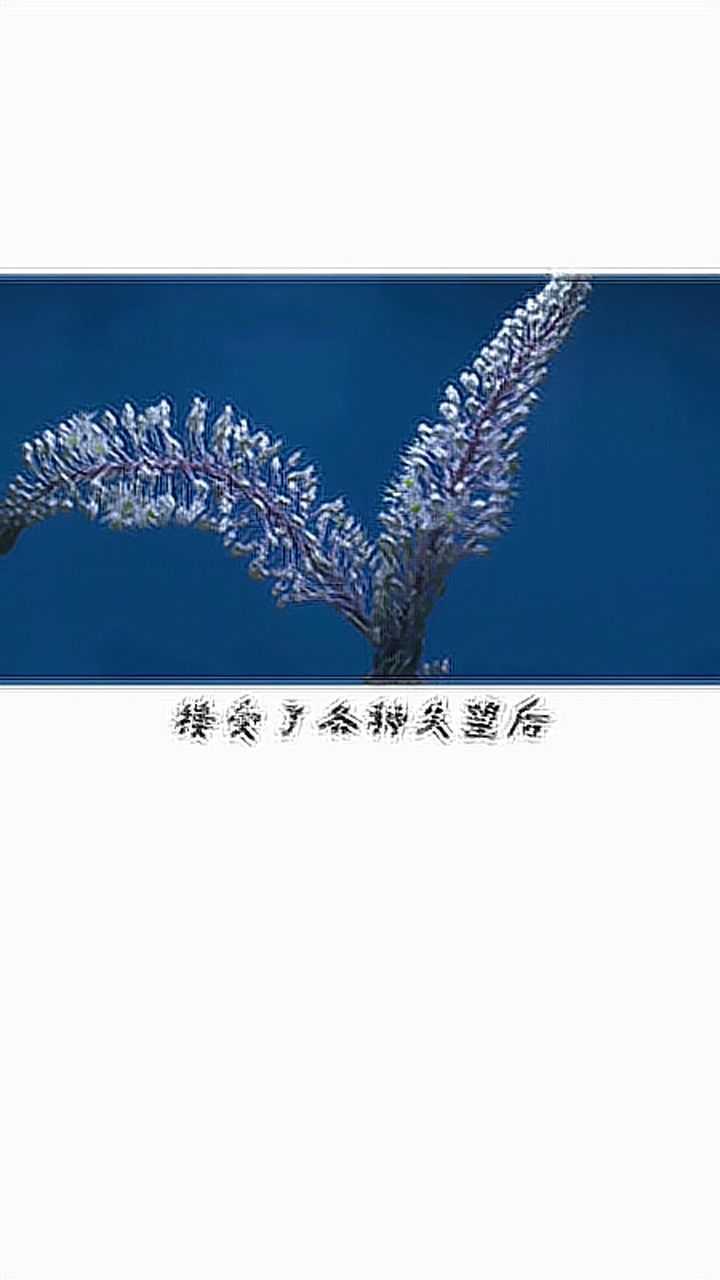 为什么人总在失去之后，才 …