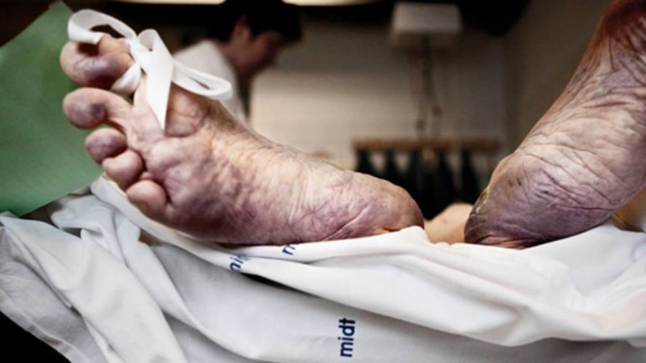 腾讯视频-中国领先的在线视频媒体平台,海量高清视频在线观看