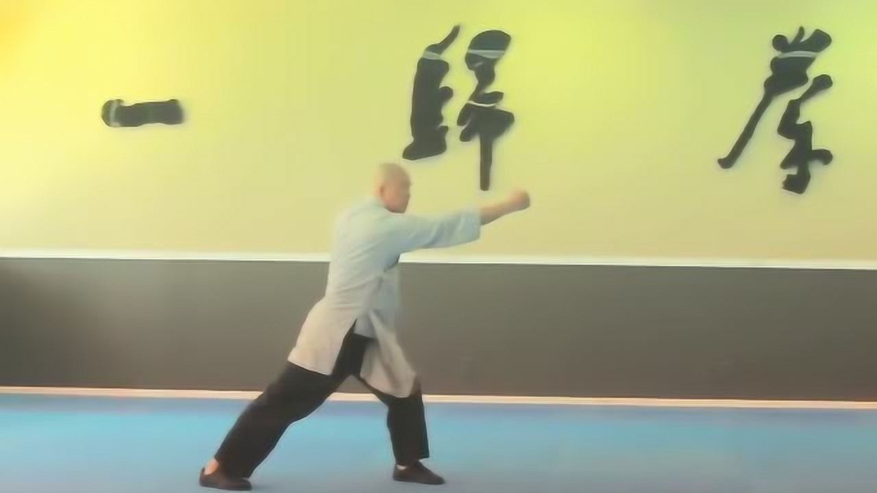 大师教你武术,连手短打,攻防一体,招法环环相套!_高清1080P在线观看平台_腾讯视频