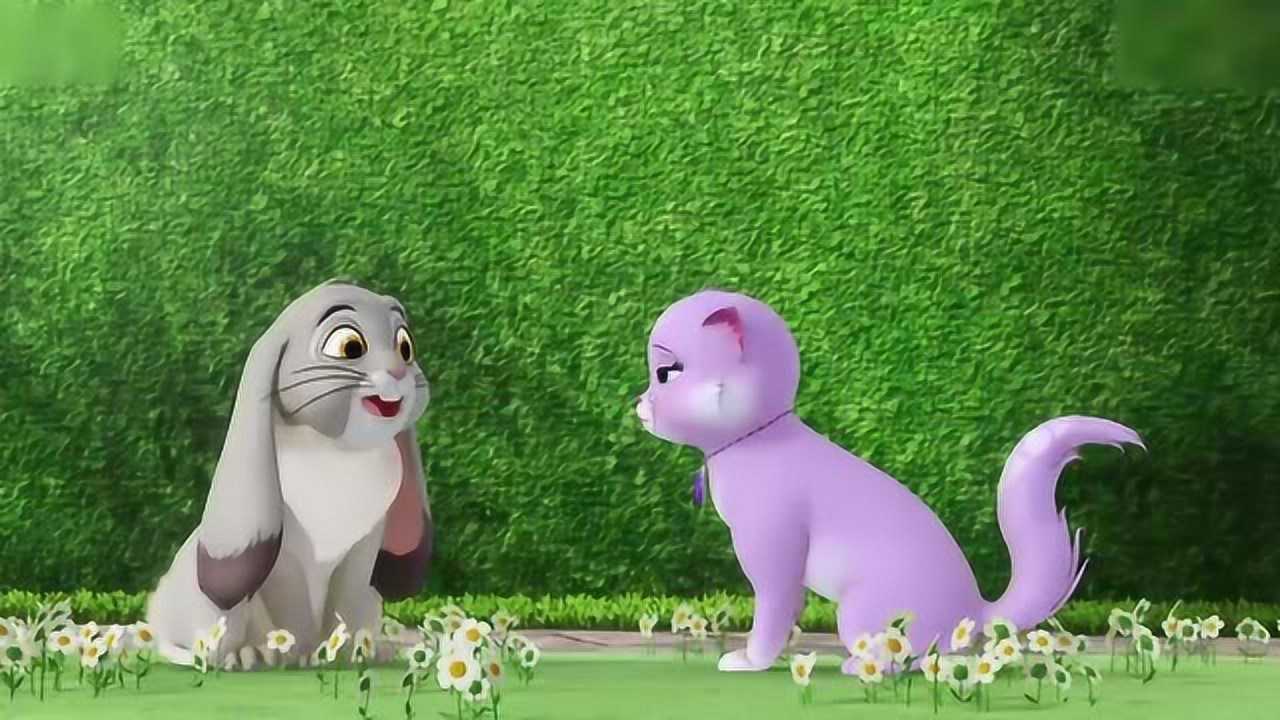 小公主苏菲亚:  苏菲亚怎么变成了猫,这是怎么回事