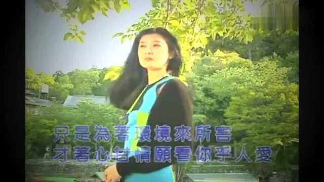 怀旧经典歌曲、闽南语《心甘情愿》俞隆华