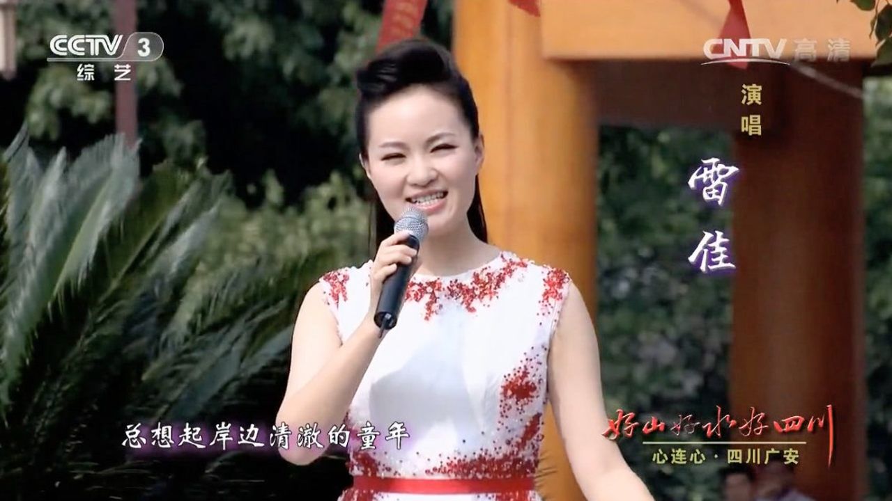 好儿好女好江山演唱雷佳