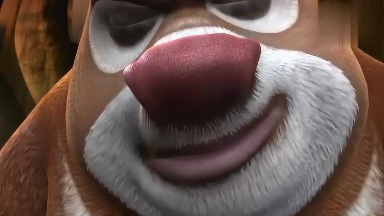 谁说水果能减肥你看熊大只吃水果胖成大肥猫