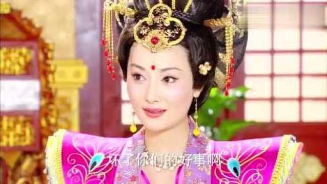 奴婢竟敢在娘娘的寝宫,做苟且之事,娘娘看见直接气晕!