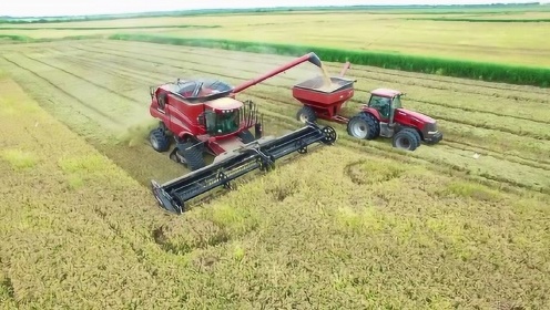 航拍美国一个农场2018年的水稻收割作业