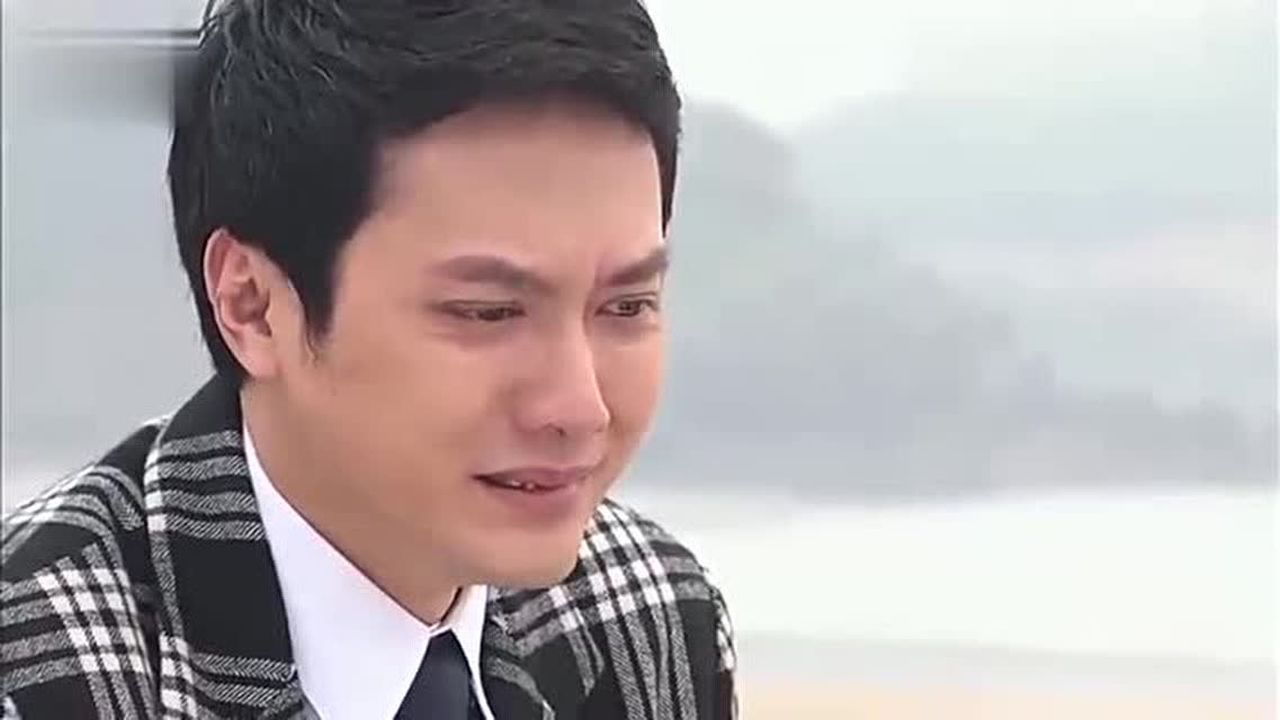 天涯赤子心:世贤哭着喊对不起淑华,哭的撕心裂肺,心疼!