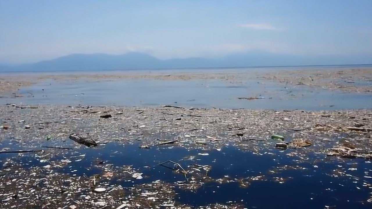太平洋上一个由垃圾堆成的岛,面积比3个日本还大!看完心情复杂