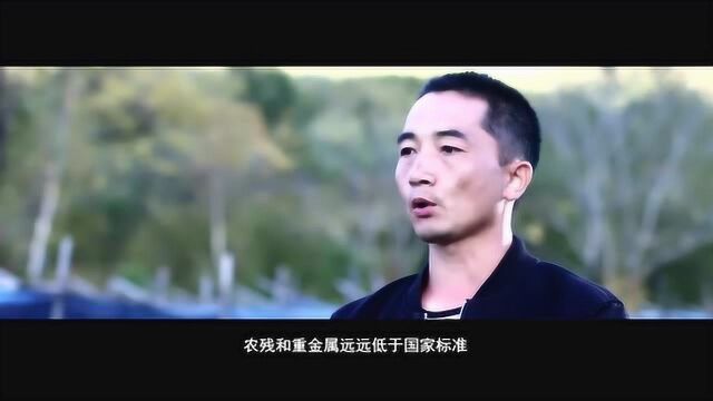 益盛汉参生物科技有限公司