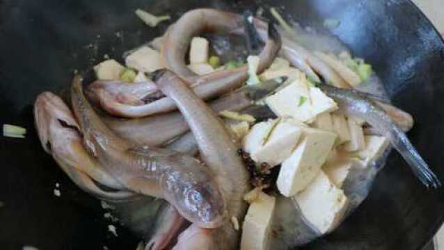 胶东家常美食之光鱼炖豆腐,看烟台莱阳大叔现场制作