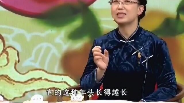 红参、党参、太子参、西洋参,吃哪一种参好