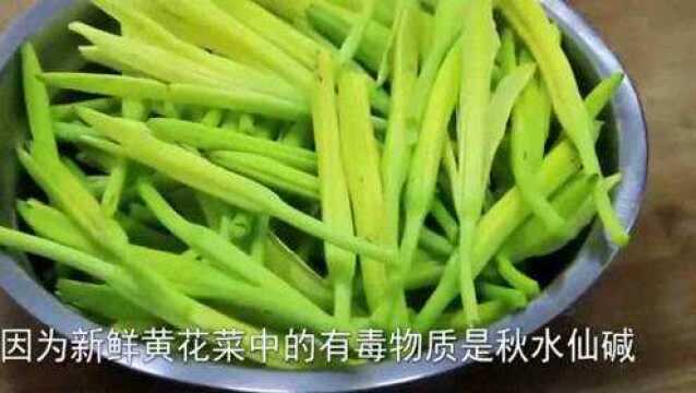 教你新鲜黄花菜怎样吃,口感清脆,做法很简单