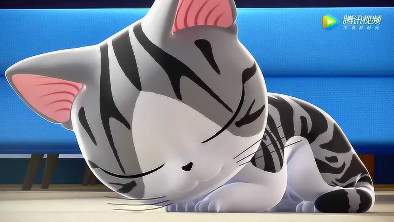 《甜甜私房猫》小奇怎么连吸尘器都不怕啊!