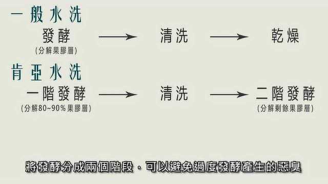 咖啡知识 10 来自肯尼亚的咖啡生豆水洗处理法