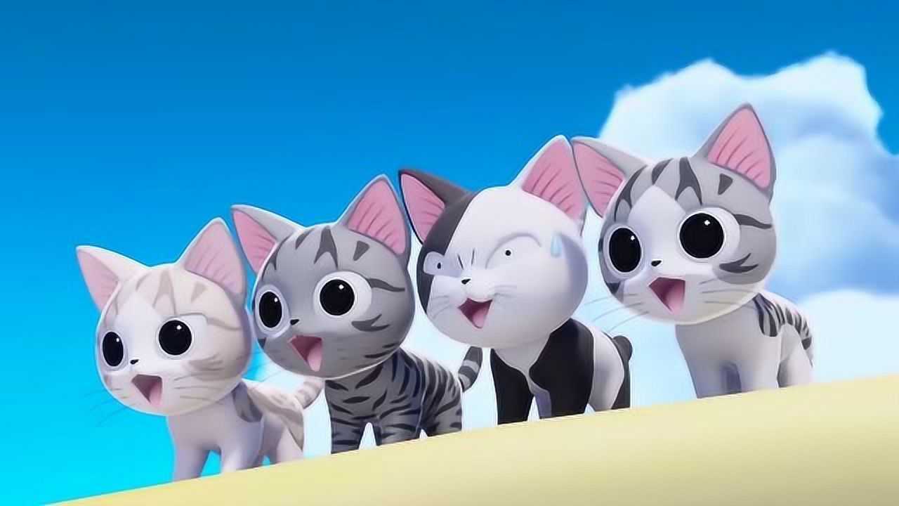 甜甜私房猫:小奇第一次来到那么好玩的地方,高兴极了