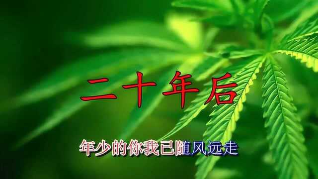 经典金曲!《二十年后》歌曲经典,醉了