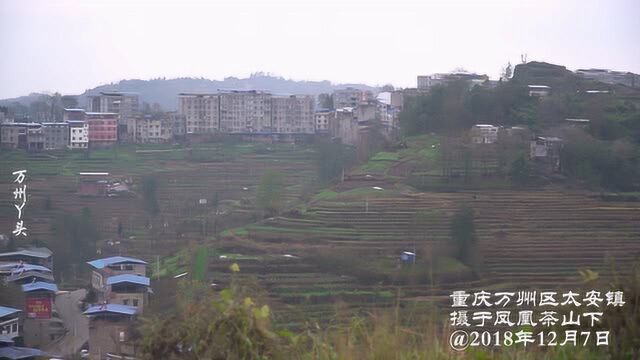 重庆万州区太安镇冬季景色,凤凰茶山脚下的法隆村,凤凰山上拍摄