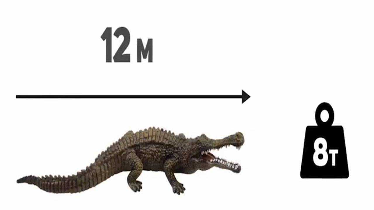 史前终极巨鳄帝鳄是普通鳄鱼的4倍长光嘴就有2米