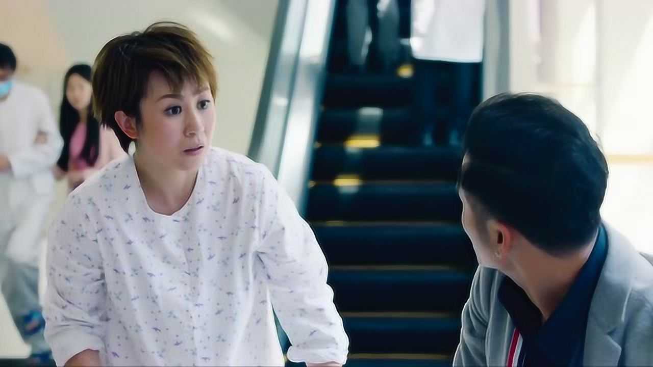 羞羞的铁拳小毛蛋又是什么鬼呀