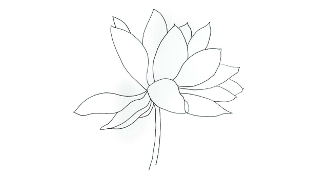感受线条之美,纯线条画荷花