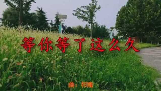 爆火网络《等你等了这么久》悦耳动听,让人难忘记