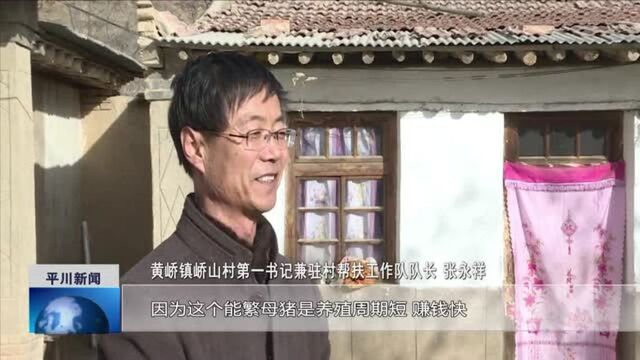 平川:“一户一策”精准发力, “照方抓药”精准脱贫