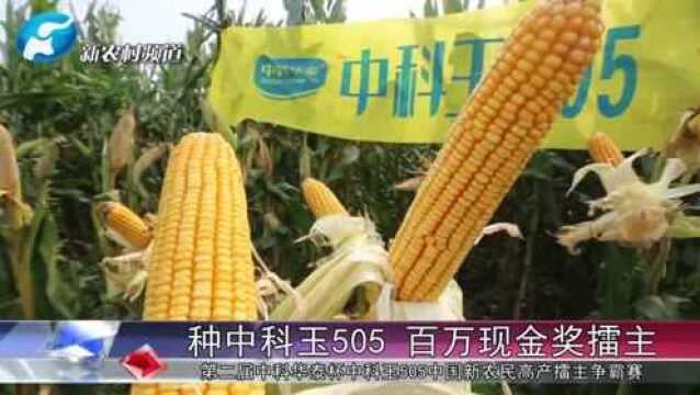 玉米种中科玉505 争百万现金擂主