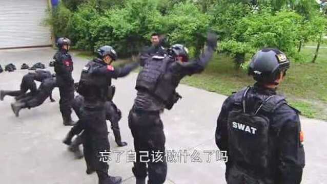 特警力量:赵小黑担任第一狙击手,段卫兵表示不服,却被龙头批评