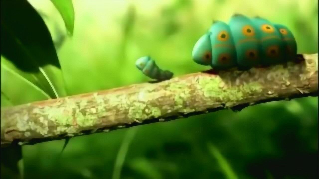 小毛毛虫正在吃树叶,大毛毛虫跑来荡秋千,把小毛毛虫弹飞了_腾讯视频