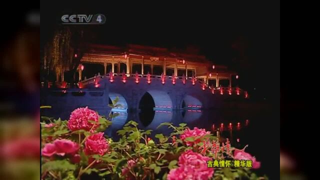 张悬演唱《滚滚红尘》,凄美的歌声好听到无法自拔!