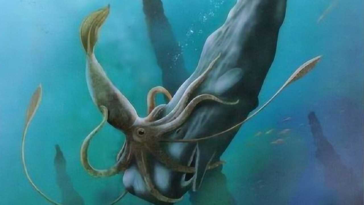 发生在深海的巨兽之战抹香鲸大战巨型乌贼