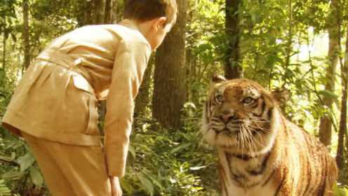 小男孩抓到一只小老虎，带回家后把它当宠物养，对它像亲人一样！