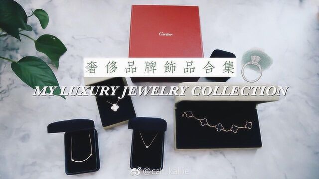 My Luxury Jewelry Collection