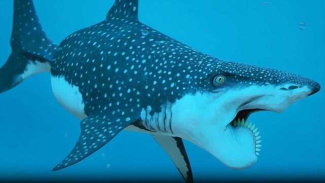 世界上最恐怖的鲨鱼,嘴里长着电锯,平时怎么吃东西?