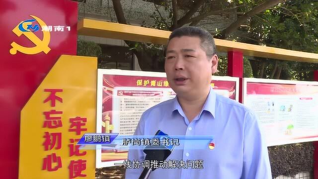 胪岗镇:干字当头 勇字当先 推进落实发展年